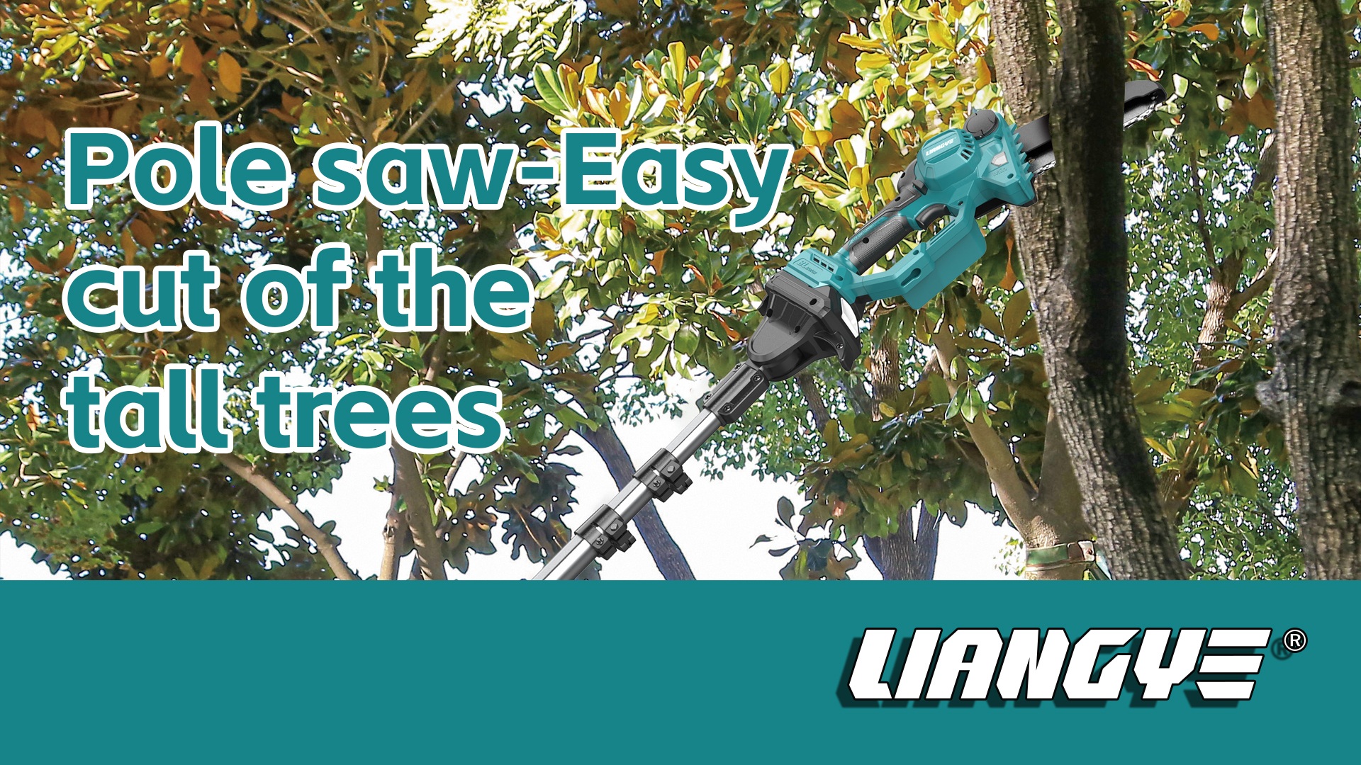 Pole Saws - Easy Cut of The Tall Trees