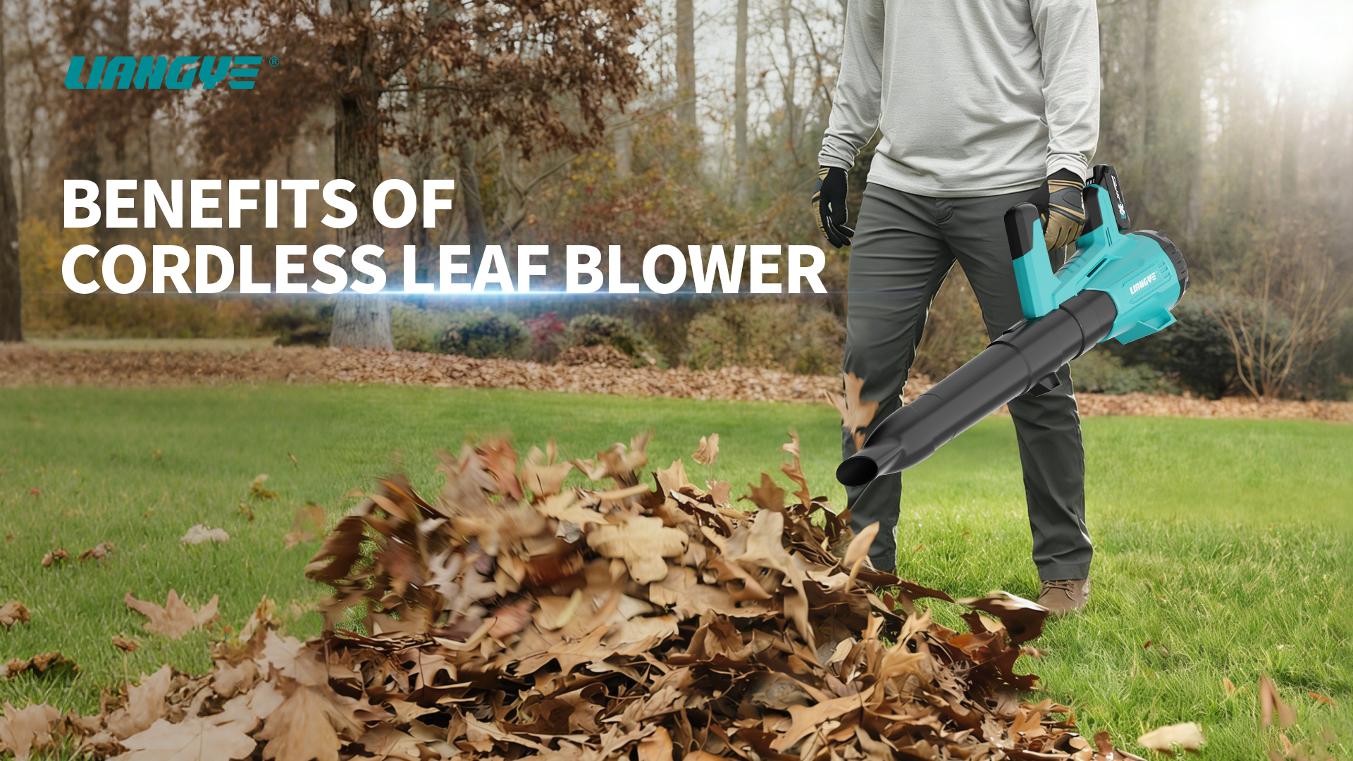 What Are The Benefits of Cordless Leaf Blower?
