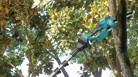 pole saw_1729_972.jpg